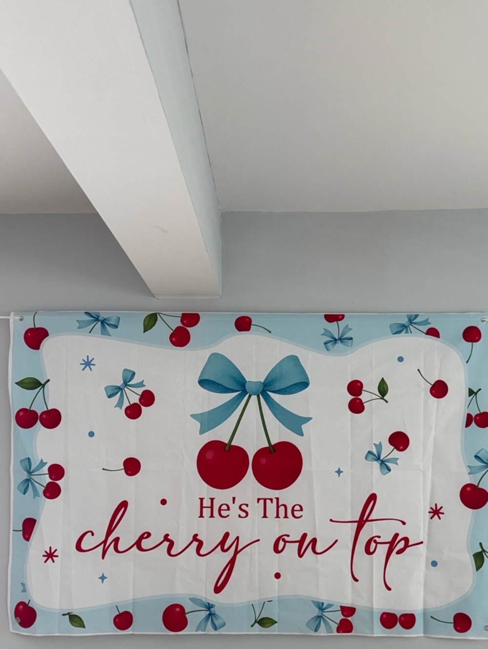 He Is the Cherry On Top Party Backdrop Banner plus 6 Ceramic Cherry Vases